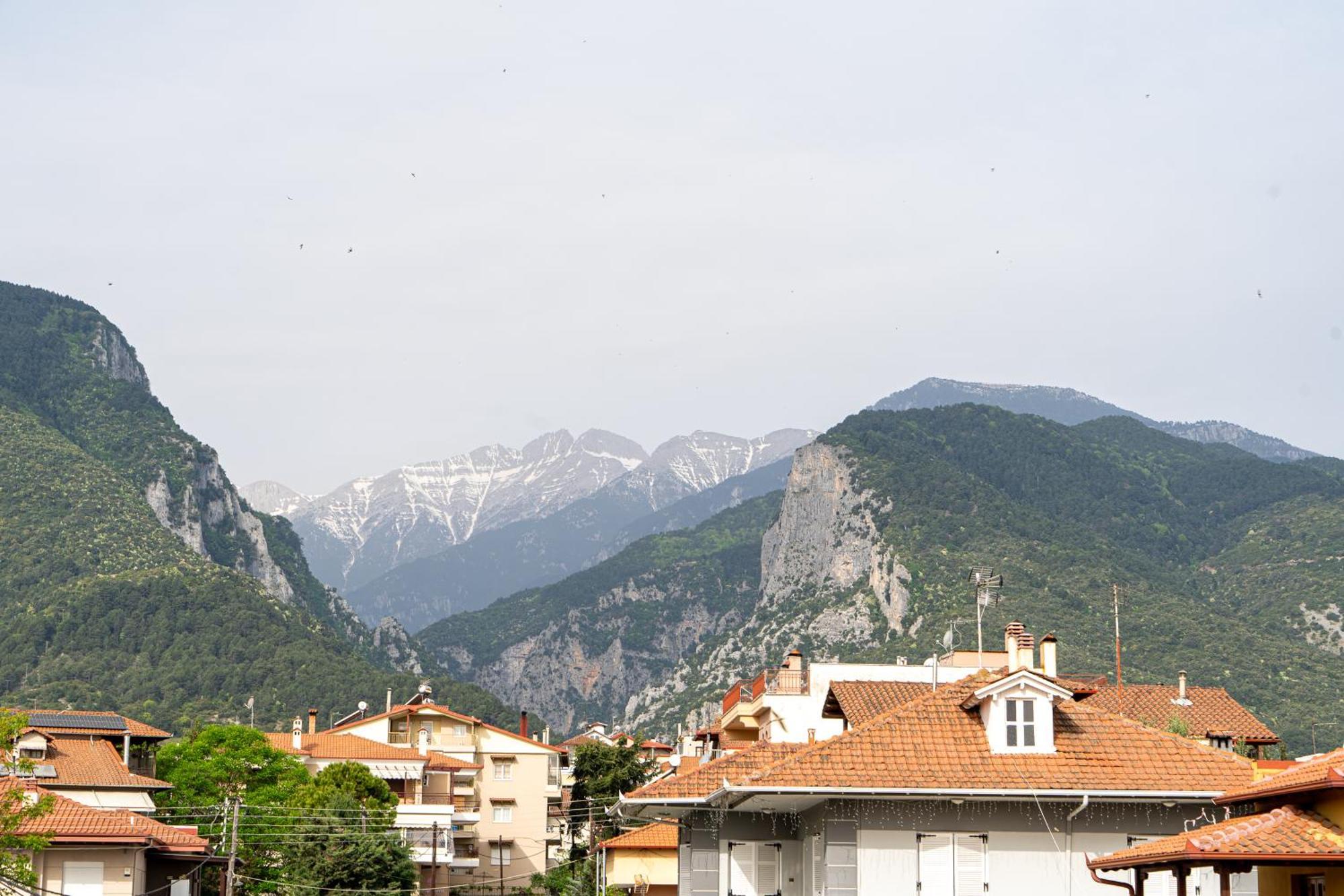 Ophelia - New Modern Apartment With Spectacular Olympus View Litochoro Exterior photo